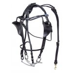 Leather Kant-See-Back Bridle