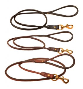 4 ft Rolled Leather Leash