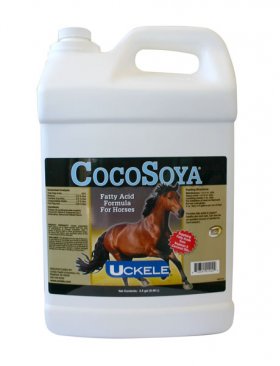 CocoSoya 2-1/2 Gallon
