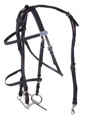Synthetic Open Bridle