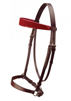 In-Hand Show Lead Bridle