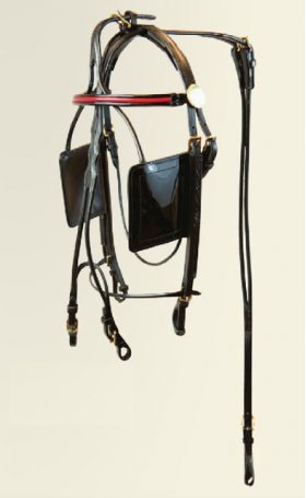Fine Harness Horse Bridle